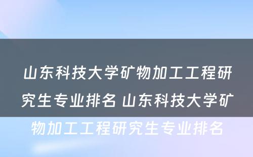 山东科技大学矿物加工工程研究生专业排名 山东科技大学矿物加工工程研究生专业排名