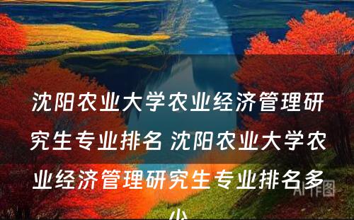 沈阳农业大学农业经济管理研究生专业排名 沈阳农业大学农业经济管理研究生专业排名多少