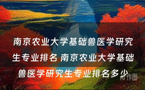 南京农业大学基础兽医学研究生专业排名 南京农业大学基础兽医学研究生专业排名多少