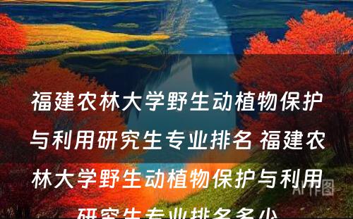 福建农林大学野生动植物保护与利用研究生专业排名 福建农林大学野生动植物保护与利用研究生专业排名多少