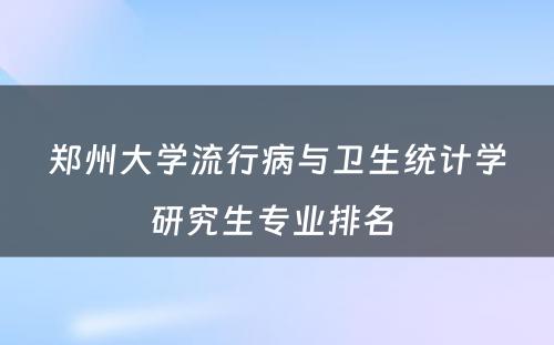 郑州大学流行病与卫生统计学研究生专业排名 