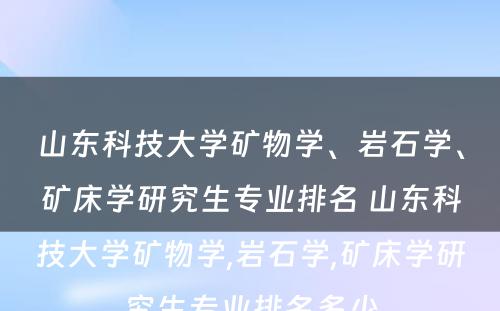 山东科技大学矿物学、岩石学、矿床学研究生专业排名 山东科技大学矿物学,岩石学,矿床学研究生专业排名多少