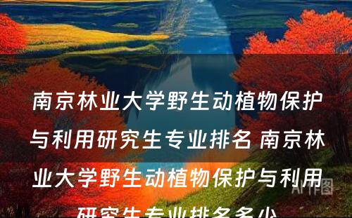 南京林业大学野生动植物保护与利用研究生专业排名 南京林业大学野生动植物保护与利用研究生专业排名多少