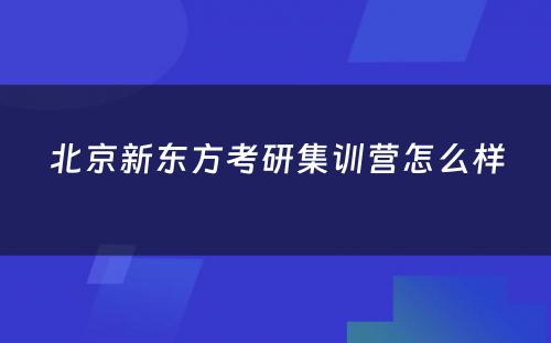 北京新东方考研集训营怎么样