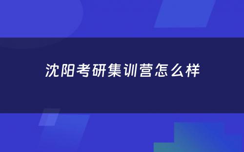 沈阳考研集训营怎么样