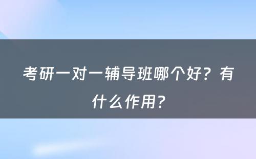 考研一对一辅导班哪个好？有什么作用？