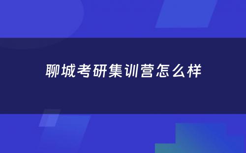 聊城考研集训营怎么样