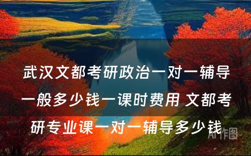 武汉文都考研政治一对一辅导一般多少钱一课时费用 文都考研专业课一对一辅导多少钱