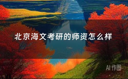 北京海文考研的师资怎么样 