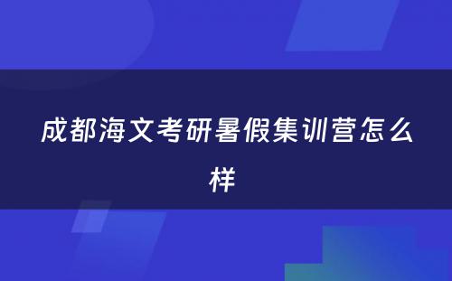 成都海文考研暑假集训营怎么样 