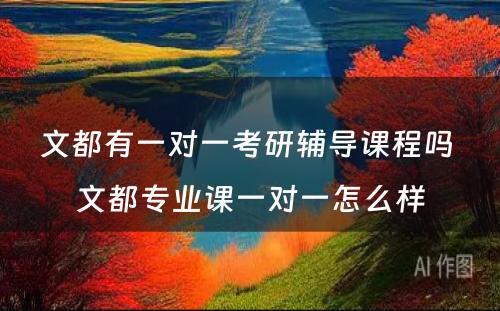 文都有一对一考研辅导课程吗 文都专业课一对一怎么样