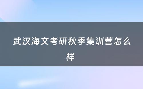 武汉海文考研秋季集训营怎么样 