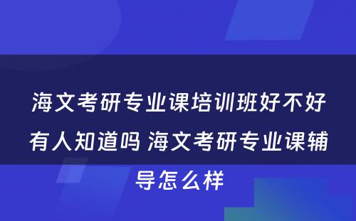 海文考研专业课培训班好不好有人知道吗 海文考研专业课辅导怎么样