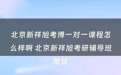 北京新祥旭考博一对一课程怎么样啊 北京新祥旭考研辅导班地址