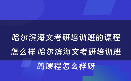 哈尔滨海文考研培训班的课程怎么样 哈尔滨海文考研培训班的课程怎么样呀