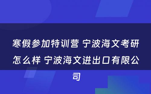 寒假参加特训营 宁波海文考研怎么样 宁波海文进出口有限公司