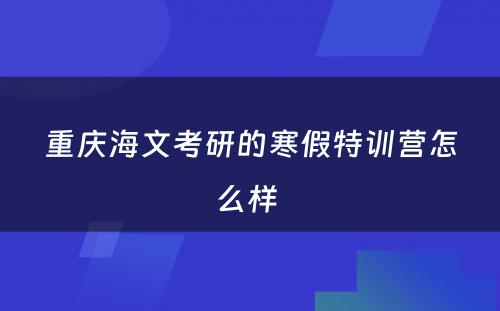 重庆海文考研的寒假特训营怎么样 