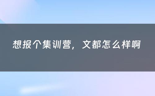 想报个集训营，文都怎么样啊 