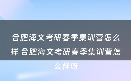 合肥海文考研春季集训营怎么样 合肥海文考研春季集训营怎么样呀