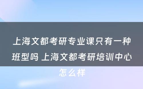 上海文都考研专业课只有一种班型吗 上海文都考研培训中心怎么样