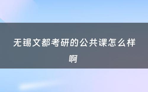 无锡文都考研的公共课怎么样啊 