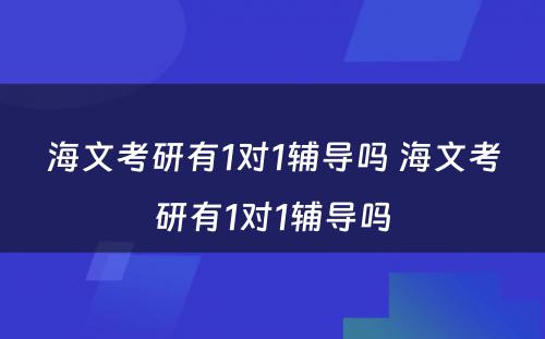 海文考研有1对1辅导吗 海文考研有1对1辅导吗