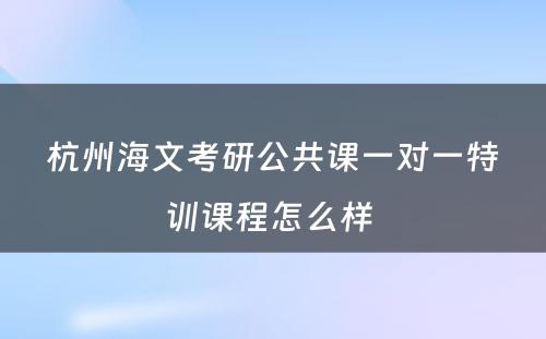 杭州海文考研公共课一对一特训课程怎么样 