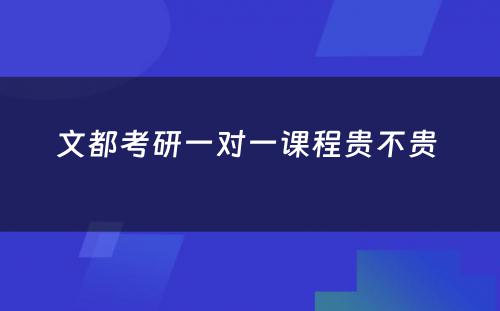 文都考研一对一课程贵不贵 