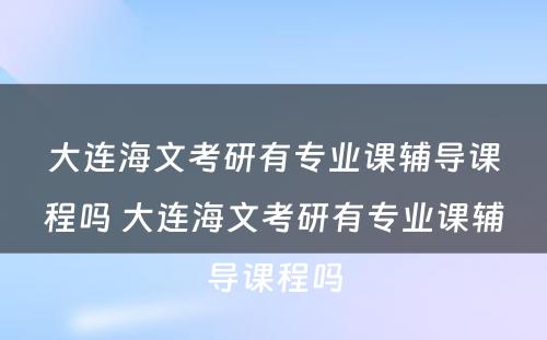 大连海文考研有专业课辅导课程吗 大连海文考研有专业课辅导课程吗