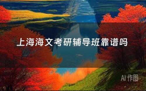 上海海文考研辅导班靠谱吗 