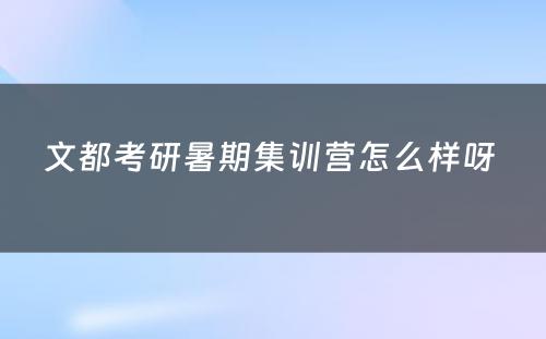 文都考研暑期集训营怎么样呀 