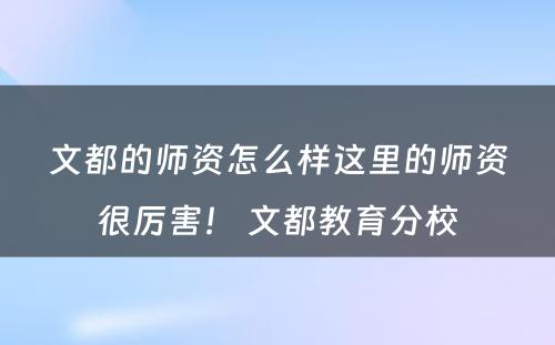 文都的师资怎么样这里的师资很厉害！ 文都教育分校