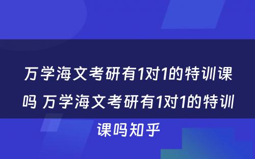 万学海文考研有1对1的特训课吗 万学海文考研有1对1的特训课吗知乎