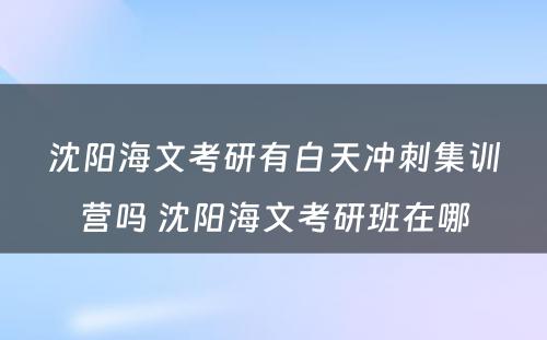 沈阳海文考研有白天冲刺集训营吗 沈阳海文考研班在哪