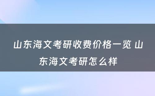 山东海文考研收费价格一览 山东海文考研怎么样