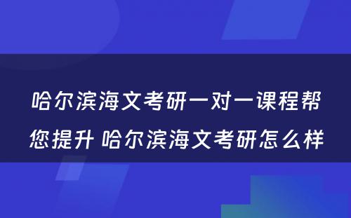 哈尔滨海文考研一对一课程帮您提升 哈尔滨海文考研怎么样