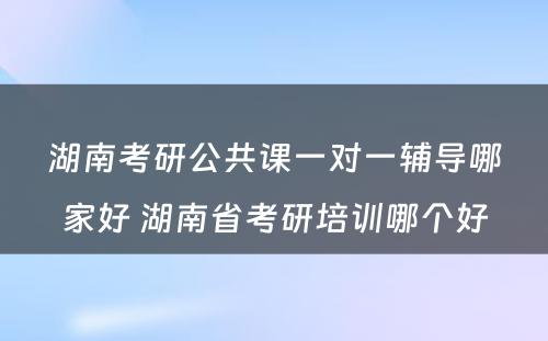 湖南考研公共课一对一辅导哪家好 湖南省考研培训哪个好