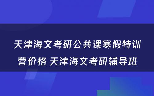 天津海文考研公共课寒假特训营价格 天津海文考研辅导班