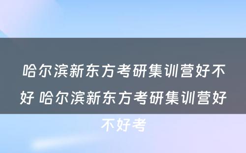 哈尔滨新东方考研集训营好不好 哈尔滨新东方考研集训营好不好考