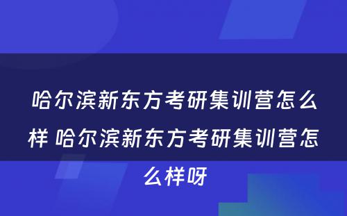 哈尔滨新东方考研集训营怎么样 哈尔滨新东方考研集训营怎么样呀