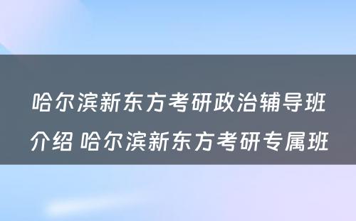 哈尔滨新东方考研政治辅导班介绍 哈尔滨新东方考研专属班