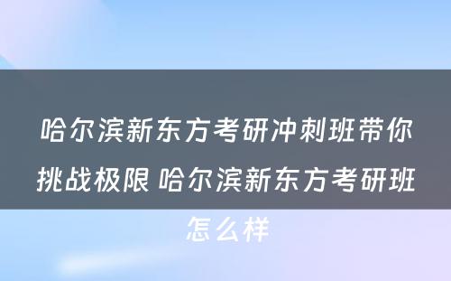 哈尔滨新东方考研冲刺班带你挑战极限 哈尔滨新东方考研班怎么样