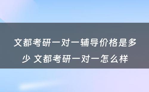 文都考研一对一辅导价格是多少 文都考研一对一怎么样