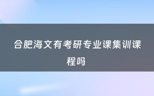 合肥海文有考研专业课集训课程吗 