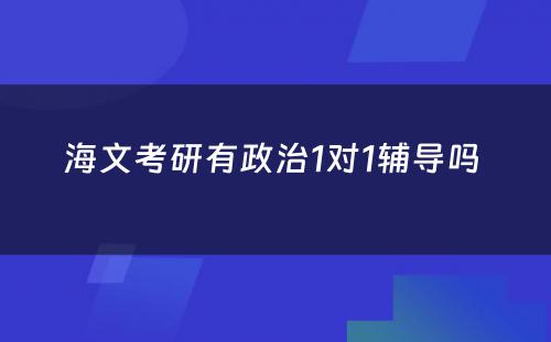 海文考研有政治1对1辅导吗 