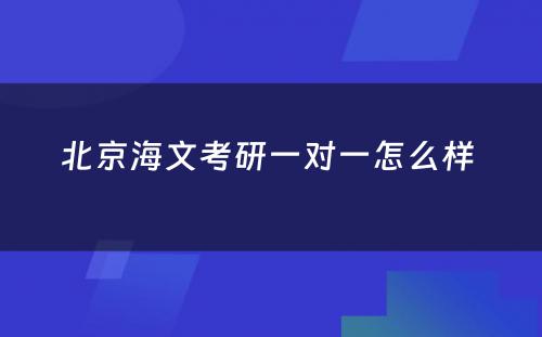 北京海文考研一对一怎么样 