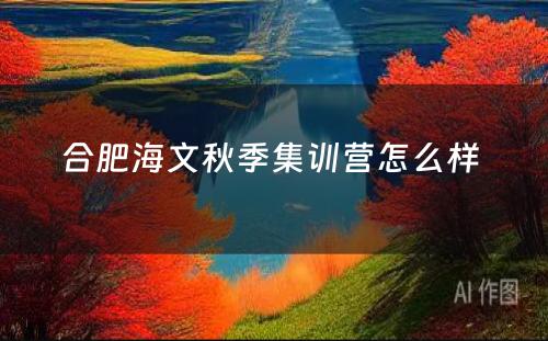 合肥海文秋季集训营怎么样 