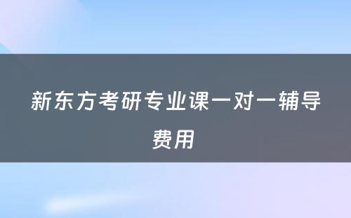 新东方考研专业课一对一辅导费用 