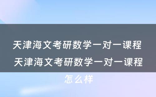 天津海文考研数学一对一课程 天津海文考研数学一对一课程怎么样