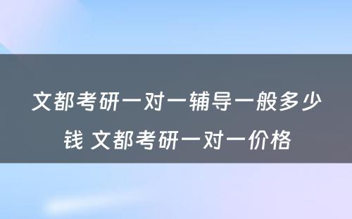 文都考研一对一辅导一般多少钱 文都考研一对一价格